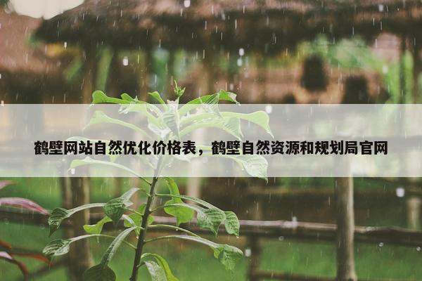 鹤壁网站自然优化价格表，鹤壁自然资源和规划局官网