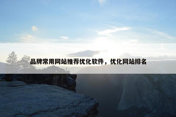 品牌常用网站推荐优化软件，优化网站排名
