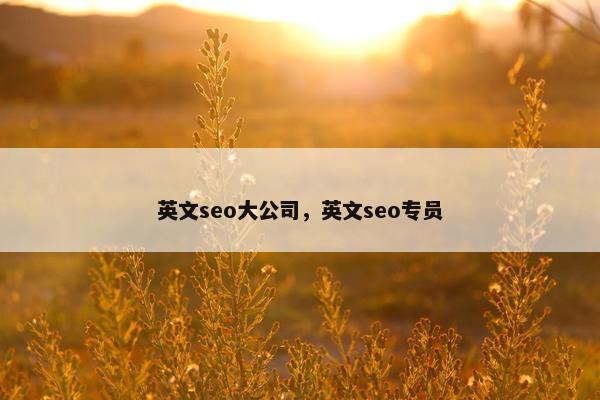 英文seo大公司，英文seo专员