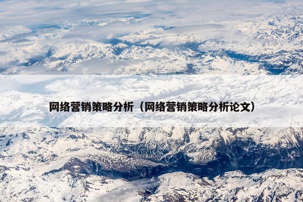 网络营销策略分析（网络营销策略分析论文）