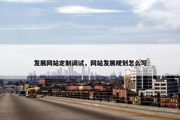 发展网站定制调试，网站发展规划怎么写