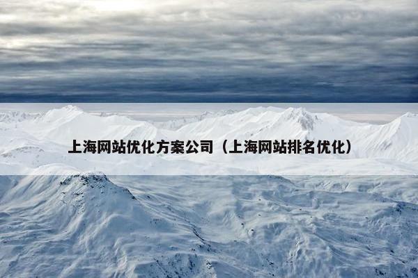 上海网站优化方案公司（上海网站排名优化）