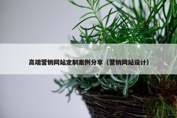 高端营销网站定制案例分享（营销网站设计）