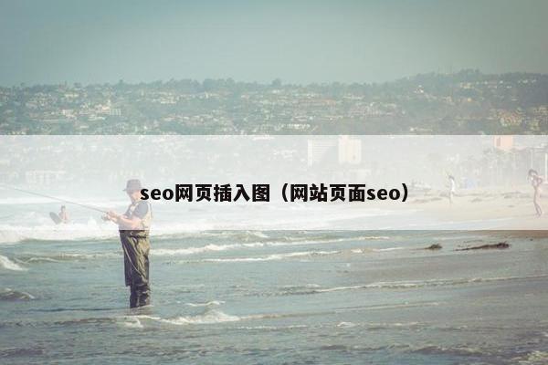 seo网页插入图（网站页面seo）