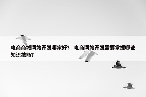 电商商城网站开发哪家好？ 电商网站开发需要掌握哪些知识技能？