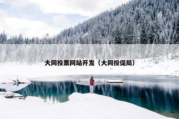 大同投票网站开发（大同投促局）