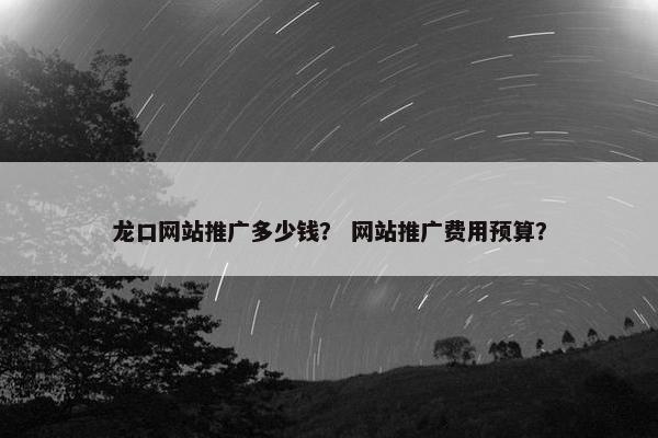 龙口网站推广多少钱？ 网站推广费用预算？