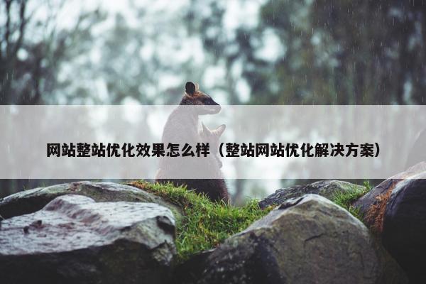 网站整站优化效果怎么样（整站网站优化解决方案）