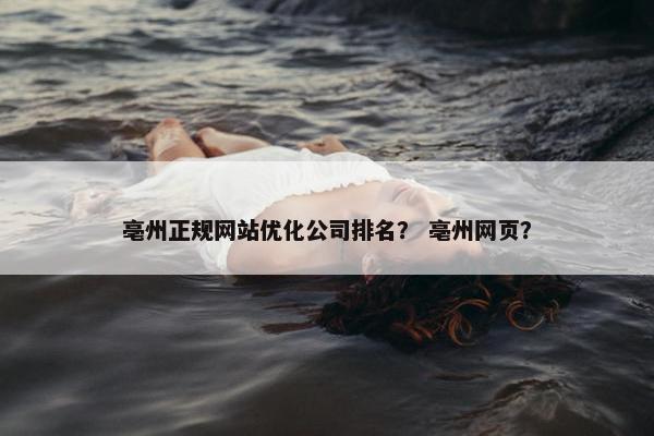 亳州正规网站优化公司排名？ 亳州网页？