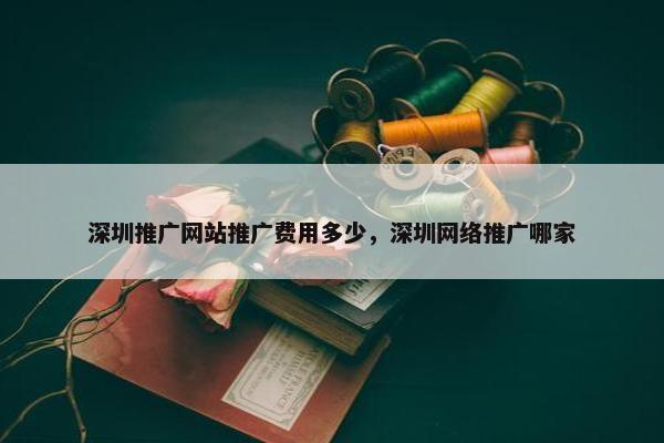 深圳推广网站推广费用多少，深圳网络推广哪家