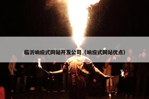 临沂响应式网站开发公司（响应式网站优点）