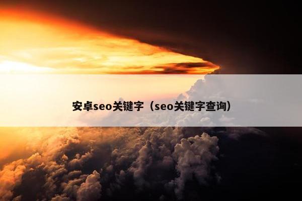 安卓seo关键字（seo关键字查询）