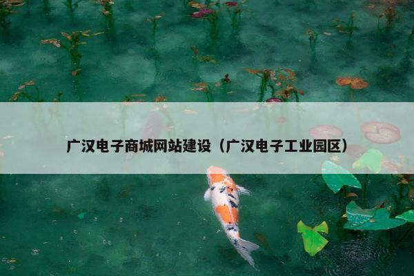 广汉电子商城网站建设（广汉电子工业园区）