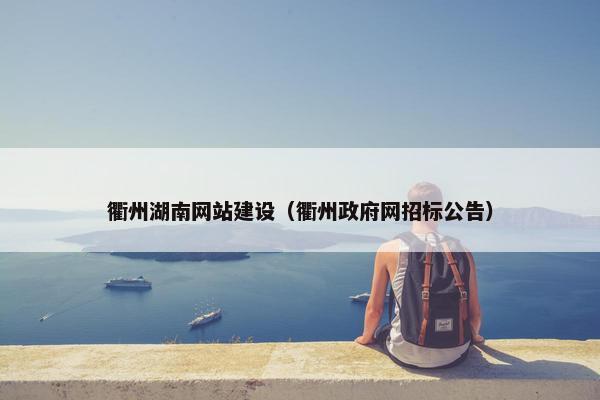 衢州湖南网站建设（衢州政府网招标公告）