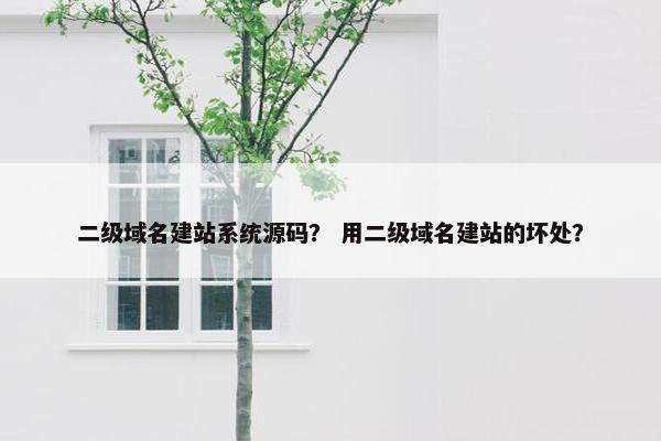 二级域名建站系统源码？ 用二级域名建站的坏处？