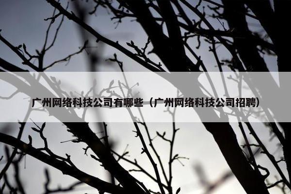 广州网络科技公司有哪些（广州网络科技公司招聘）