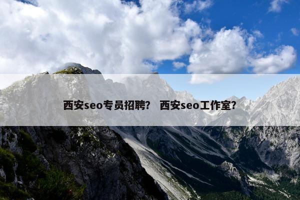 西安seo专员招聘？ 西安seo工作室？