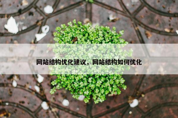网站结构优化建议，网站结构如何优化