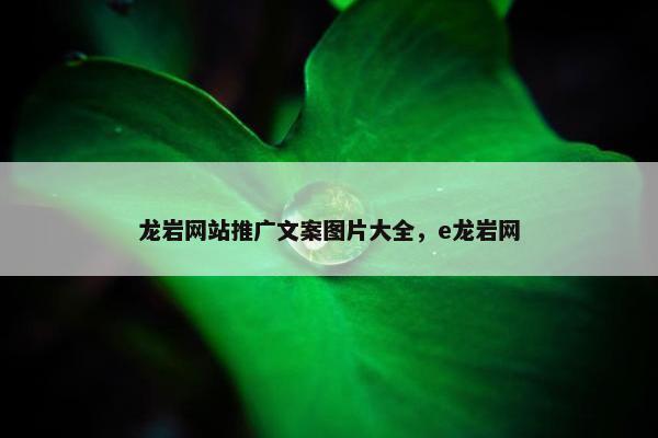龙岩网站推广文案图片大全，e龙岩网