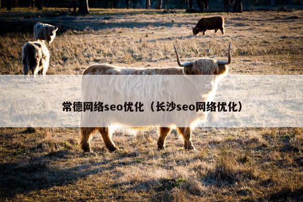 常德网络seo优化（长沙seo网络优化）