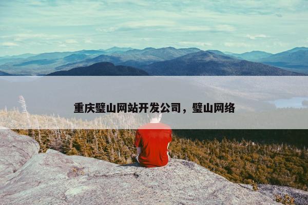 重庆璧山网站开发公司，璧山网络