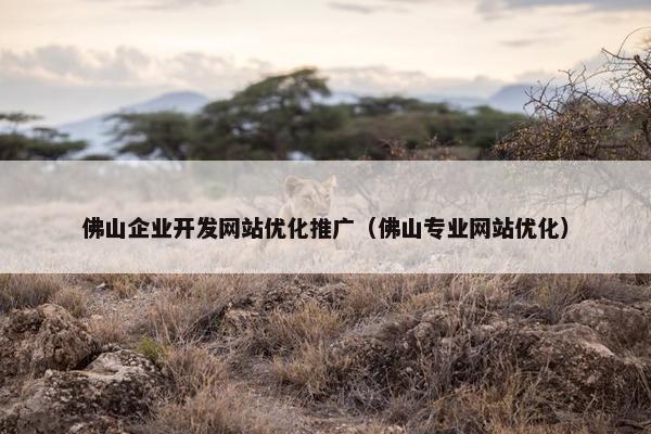佛山企业开发网站优化推广（佛山专业网站优化）