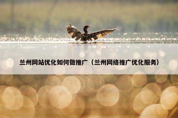 兰州网站优化如何做推广（兰州网络推广优化服务）