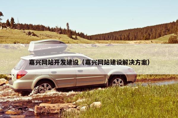 嘉兴网站开发建设（嘉兴网站建设解决方案）