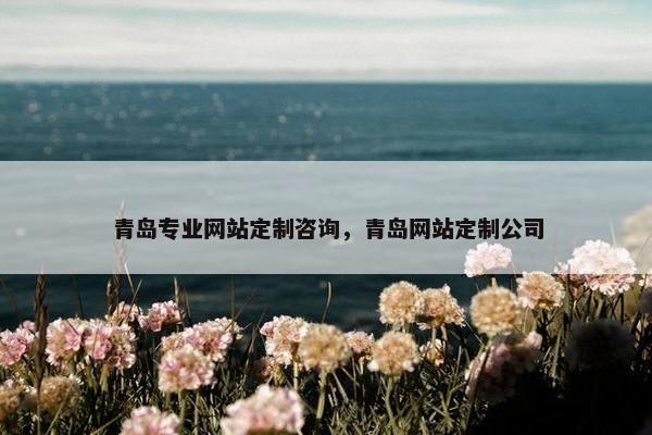 青岛专业网站定制咨询，青岛网站定制公司
