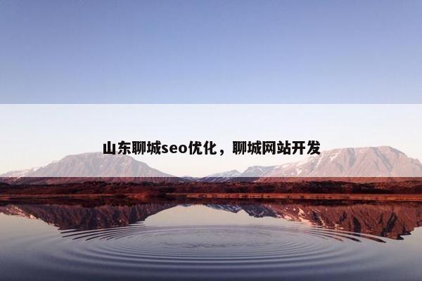 山东聊城seo优化，聊城网站开发
