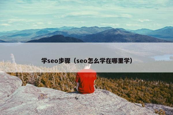 学seo步骤（seo怎么学在哪里学）