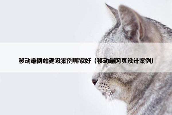 移动端网站建设案例哪家好（移动端网页设计案例）