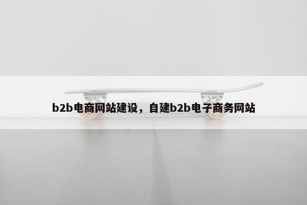 b2b电商网站建设，自建b2b电子商务网站