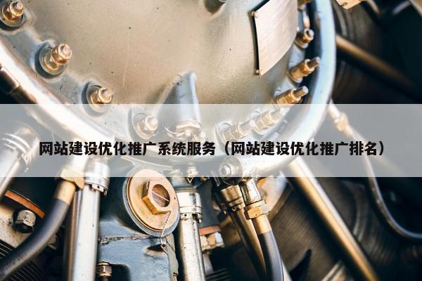 网站建设优化推广系统服务（网站建设优化推广排名）
