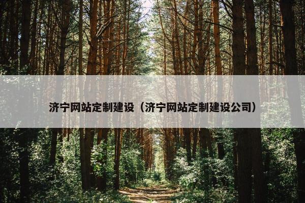 济宁网站定制建设（济宁网站定制建设公司）