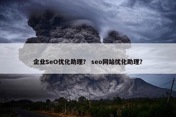 企业SeO优化助理？ seo网站优化助理？