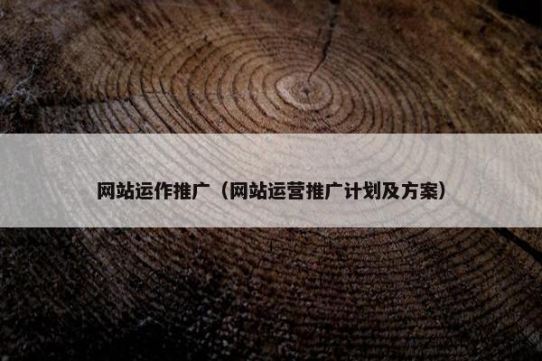 网站运作推广（网站运营推广计划及方案）