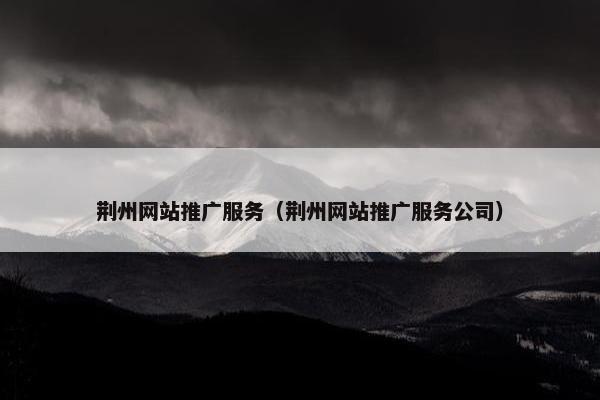 荆州网站推广服务（荆州网站推广服务公司）