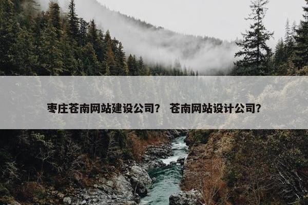 枣庄苍南网站建设公司？ 苍南网站设计公司？