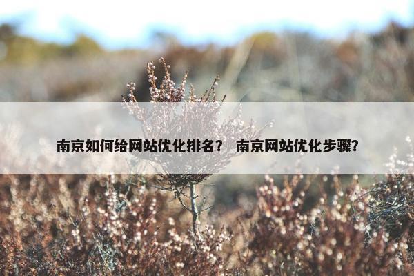 南京如何给网站优化排名？ 南京网站优化步骤？