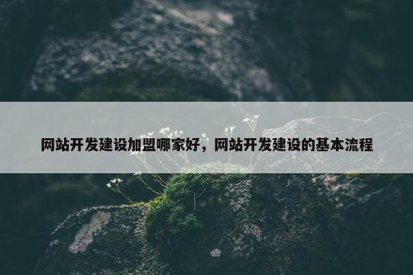 网站开发建设加盟哪家好，网站开发建设的基本流程