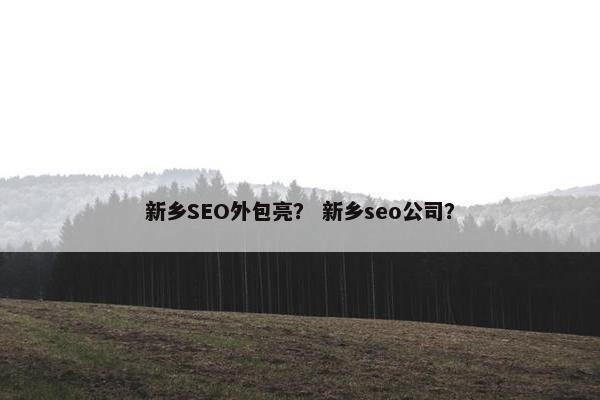 新乡SEO外包亮？ 新乡seo公司？