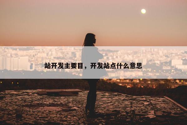 站开发主要目，开发站点什么意思