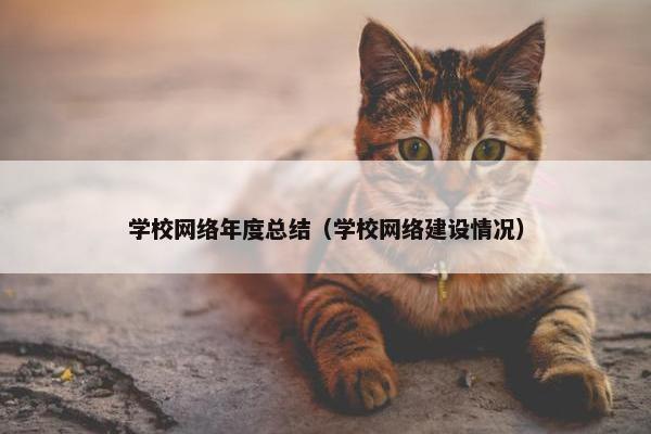 学校网络年度总结（学校网络建设情况）