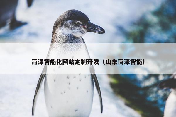 菏泽智能化网站定制开发（山东菏泽智能）
