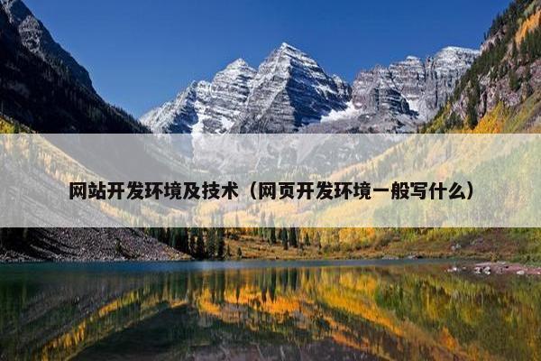 网站开发环境及技术（网页开发环境一般写什么）