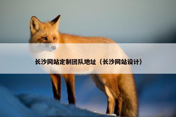 长沙网站定制团队地址（长沙网站设计）