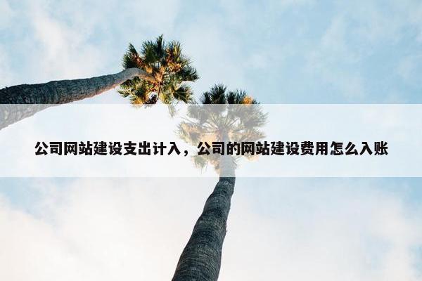 公司网站建设支出计入，公司的网站建设费用怎么入账