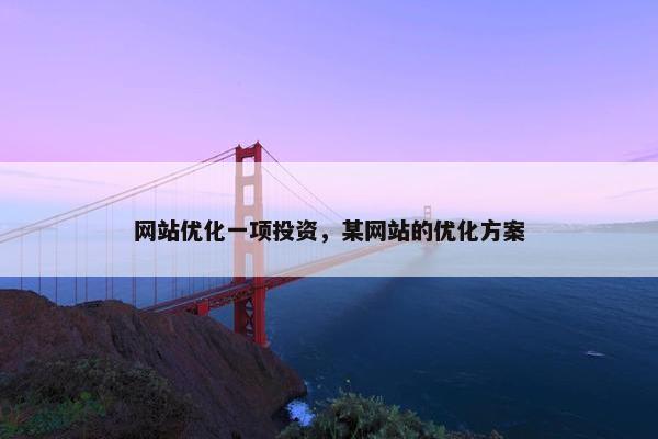 网站优化一项投资，某网站的优化方案