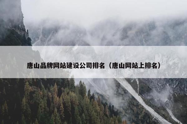 唐山品牌网站建设公司排名（唐山网站上排名）